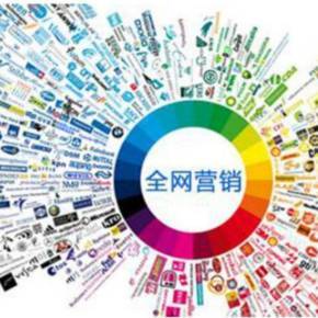 全網營銷寶典 驅動互聯網銷售的整合策略與實戰指南