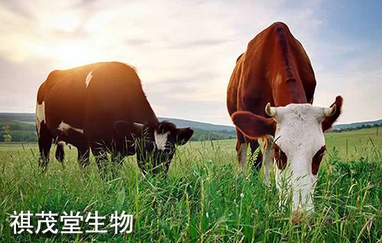 讓畜牧業(yè)高質(zhì)量發(fā)展!